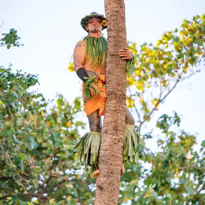 a person hanging on a tree