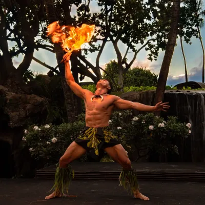 a person standing in front of a tree