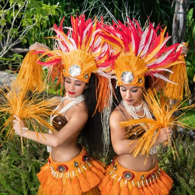 a person wearing a costume