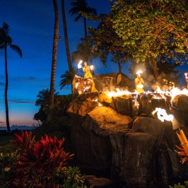 a christmas tree lit up at night
