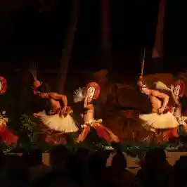 a group of giraffe standing next to a christmas tree